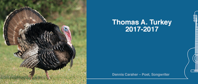 Thomas A. Turkey 2017-2017